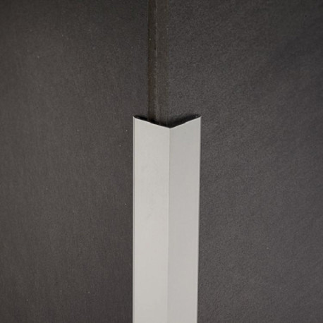 Profiel | 2.5x270 cm | Hoekprofiel in Alu Geanodiseerd Zilver