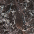 Keramische vloer- en wandtegel | 60x60 cm | vtwonen Classic Deep Burgundy Levigato