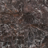 Keramische vloer- en wandtegel | 30x60 cm | vtwonen Classic Deep Burgundy Levigato
