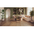 Verf | 18x20 cm | Muur & Plafond - Impermo Paint - Classic Olive