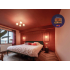 Peinture | 18x20 cm | Mur & Plafond - Impermo Paint - Deep Rosewood