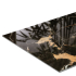 Panneau Mural PVC | Dumawall 