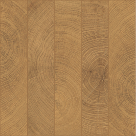 vtwonen Woodcirkle